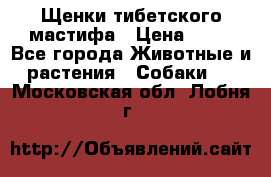 Щенки тибетского мастифа › Цена ­ 80 - Все города Животные и растения » Собаки   . Московская обл.,Лобня г.